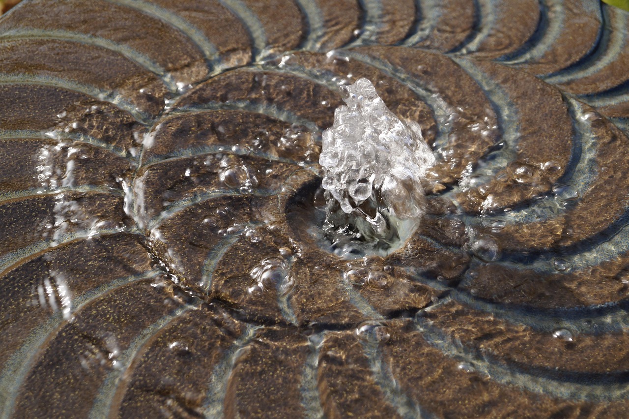 Fountain, nature, water — What to Expect from the Next OK Win App Update